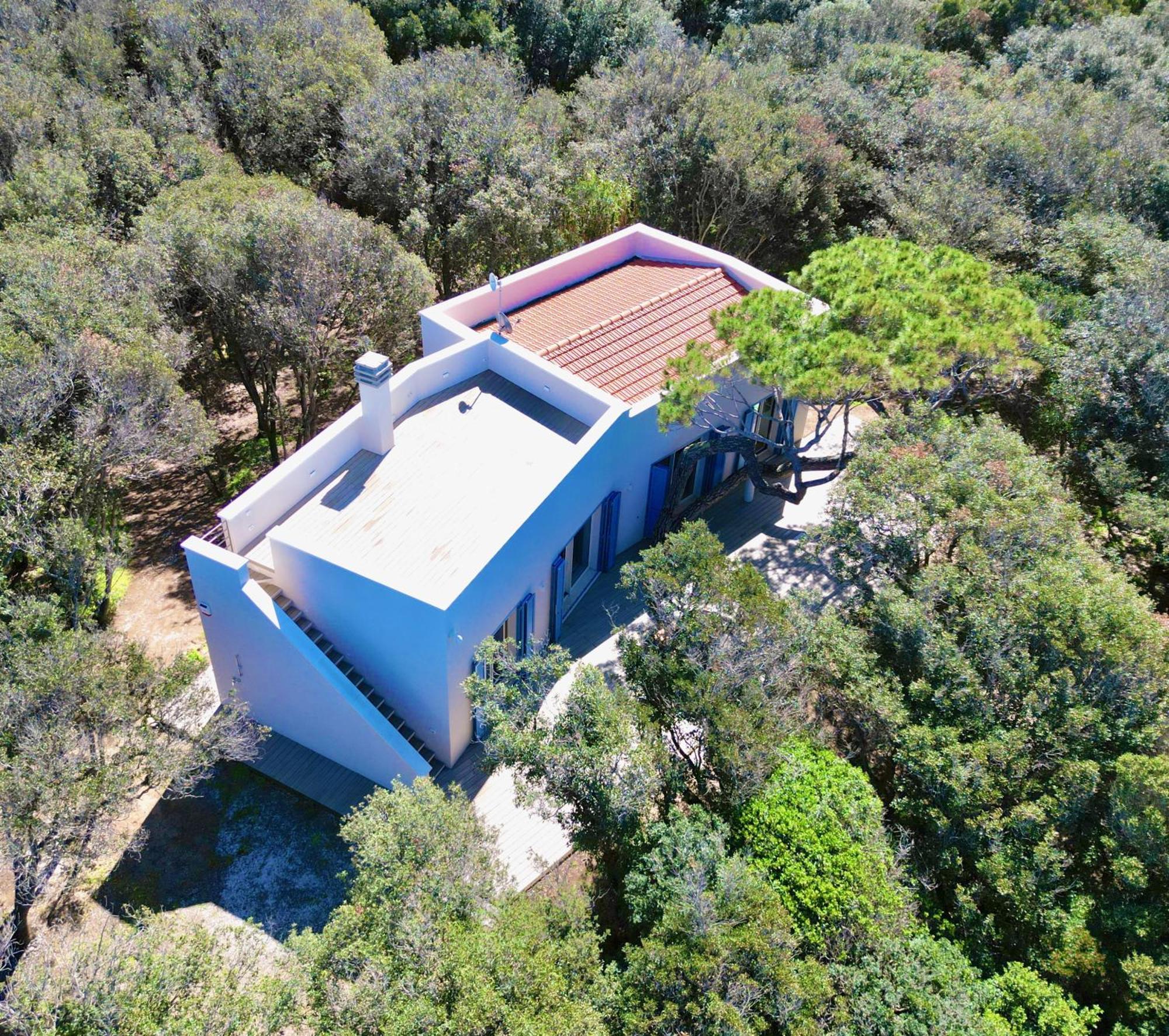 Villa Duna Blu Baratti Ngoại thất bức ảnh